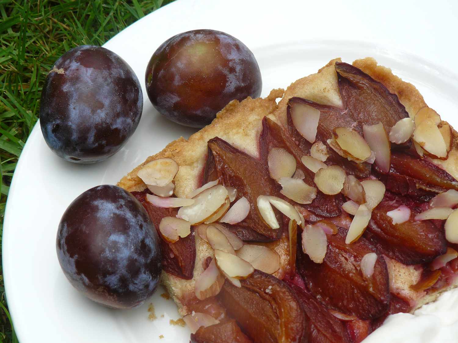Bavarian Plum Sheet Cake