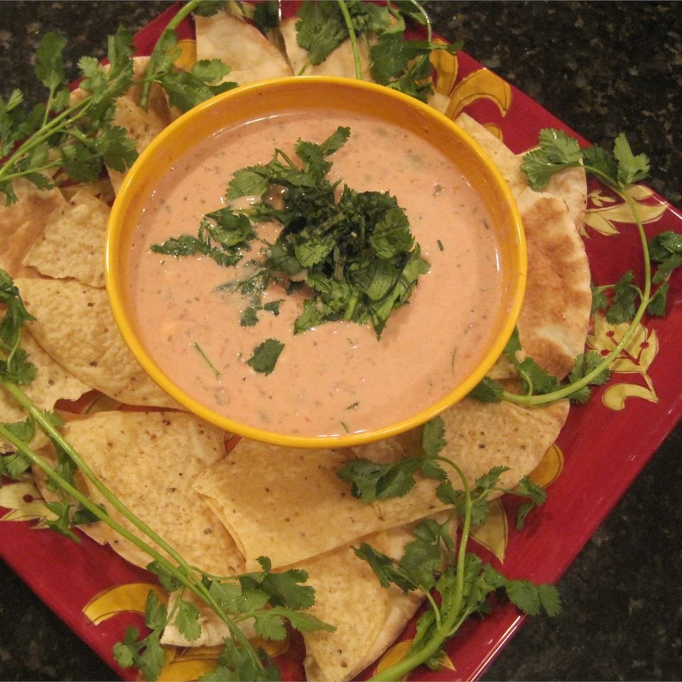 Big Game Day Salsa Dip