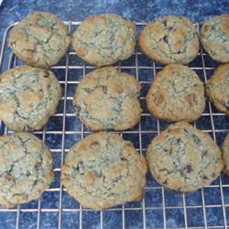 Blueberry Oat Chocolate Chip Cookies