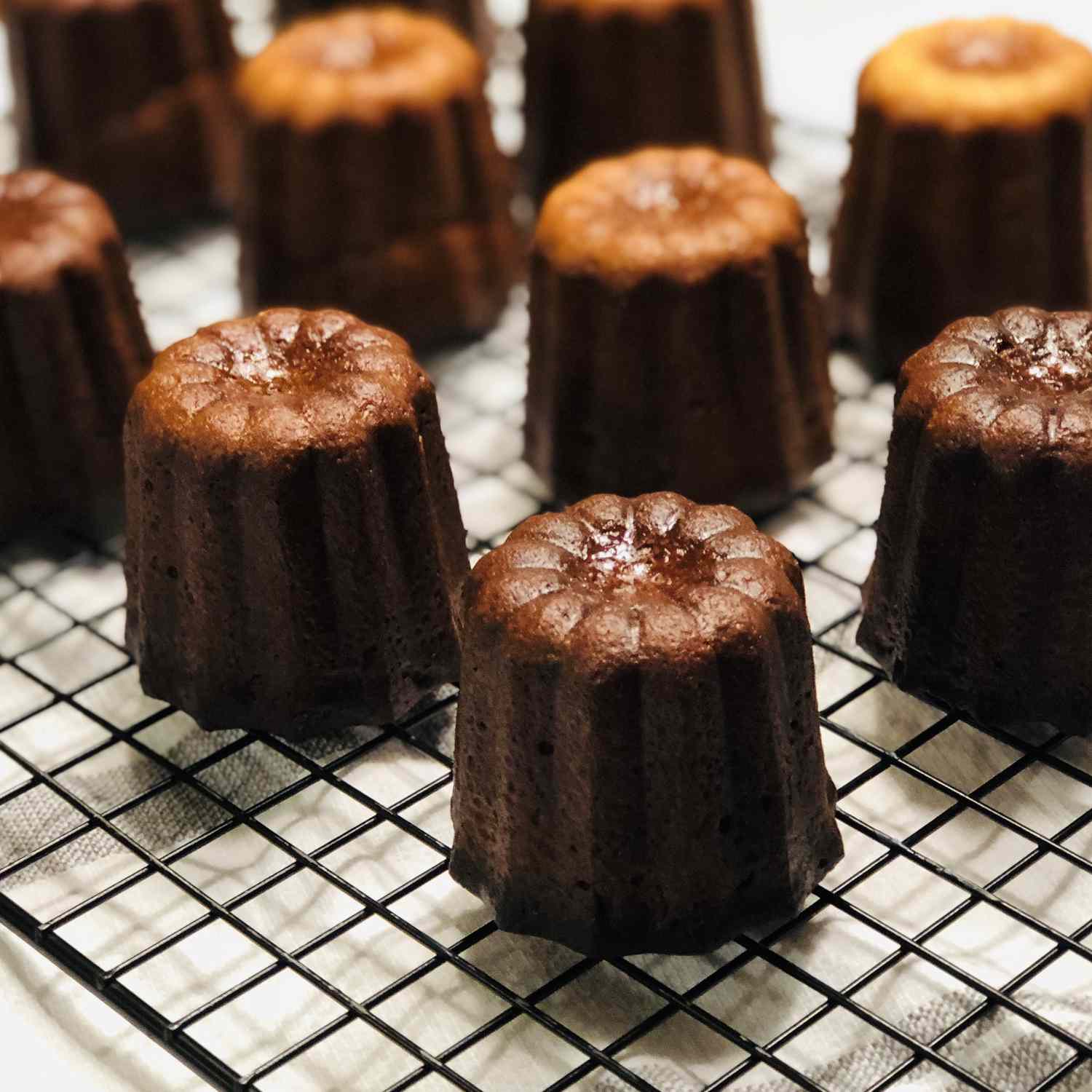 Bordeaux Custard Cakes