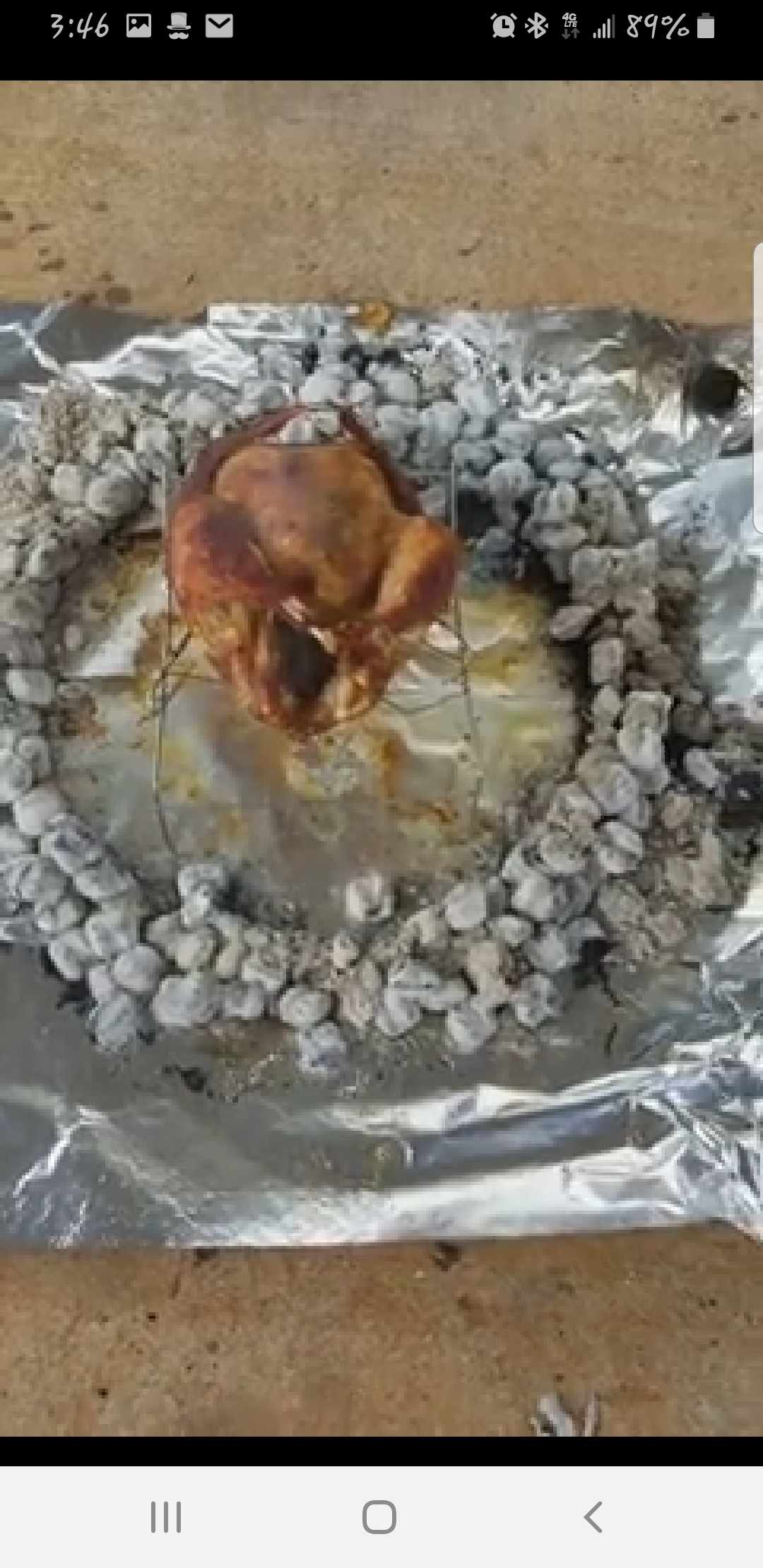 Can-Cooked Turkey