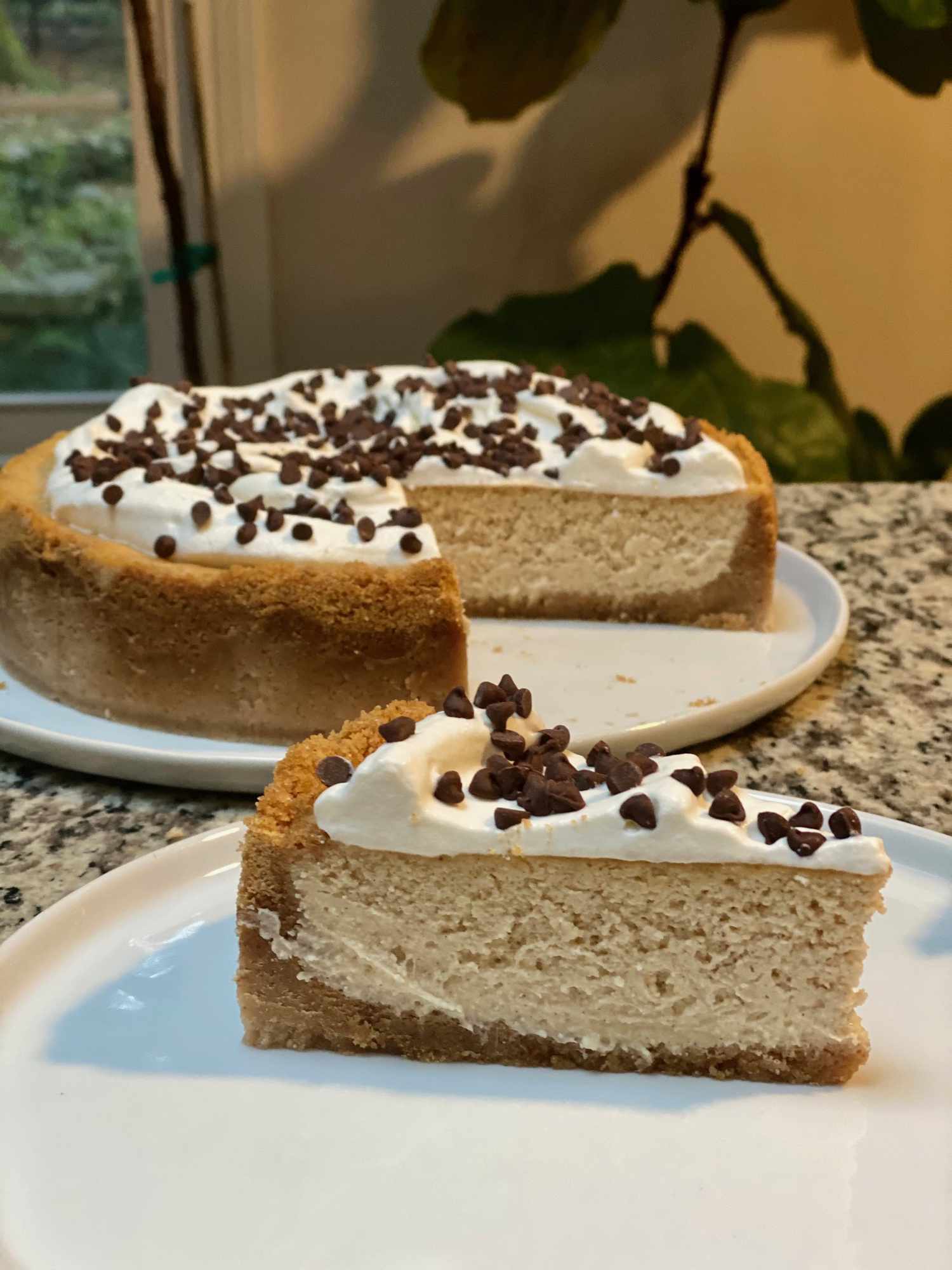 Cannoli-Style Cheesecake