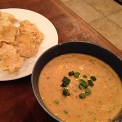 Cheesy Mexican Salsa Dip