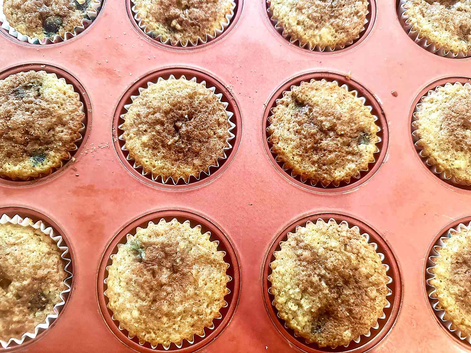 Chia Seed Blueberry Muffins