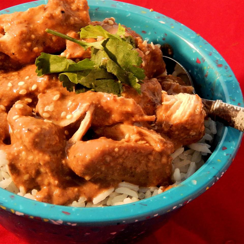 Chicken in Spicy Mole Sauce