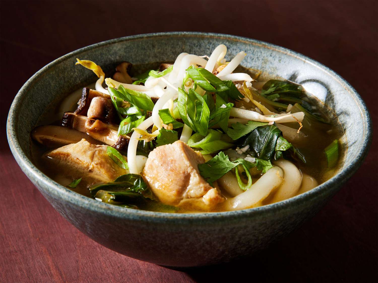 Chicken Udon Soup
