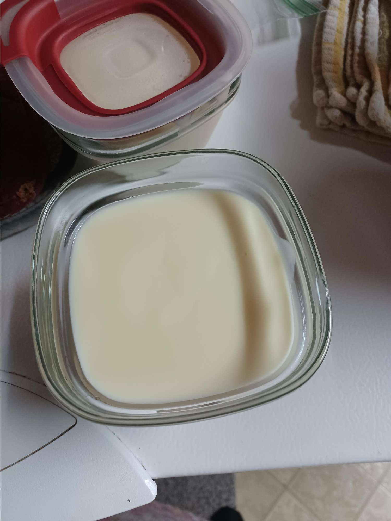 Classic Custard Dessert