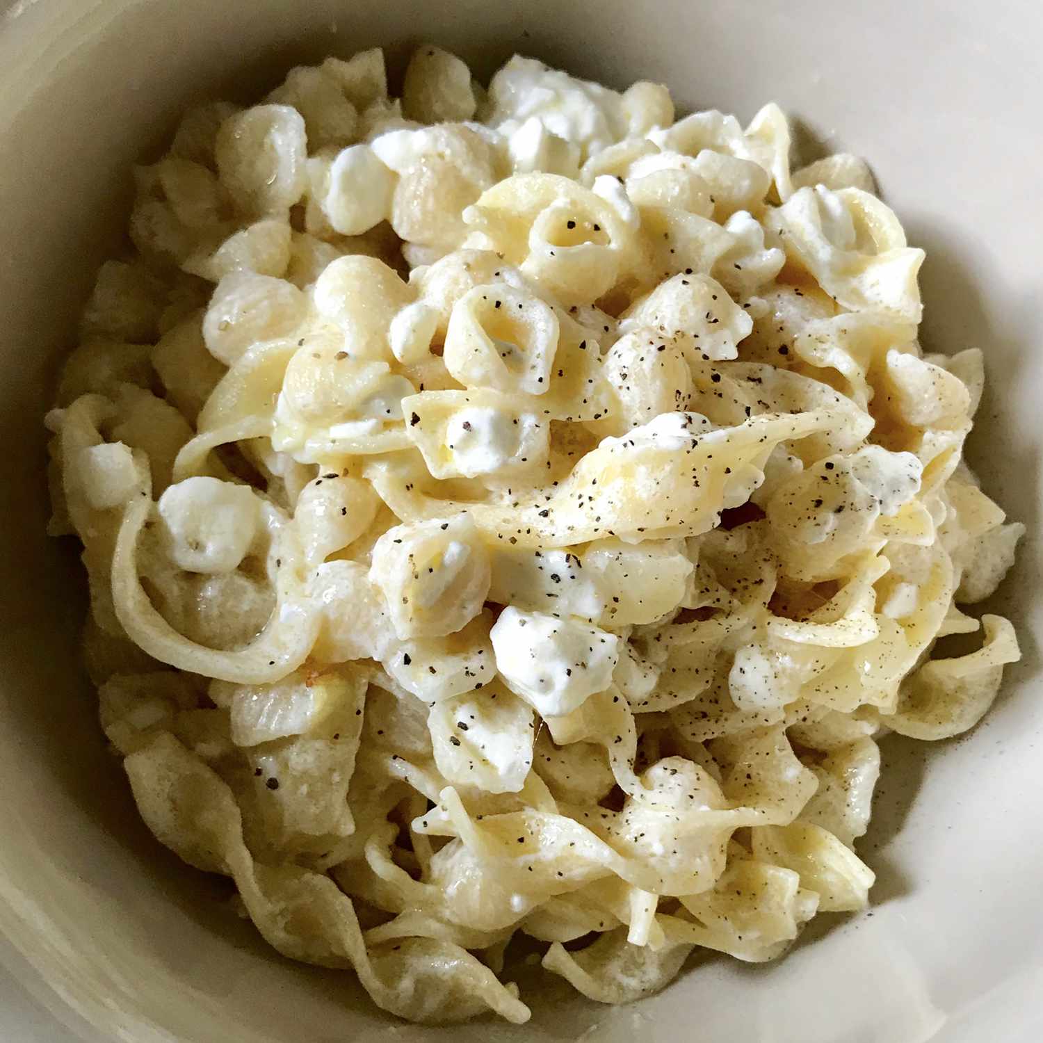Cottage Cheese and Noodles