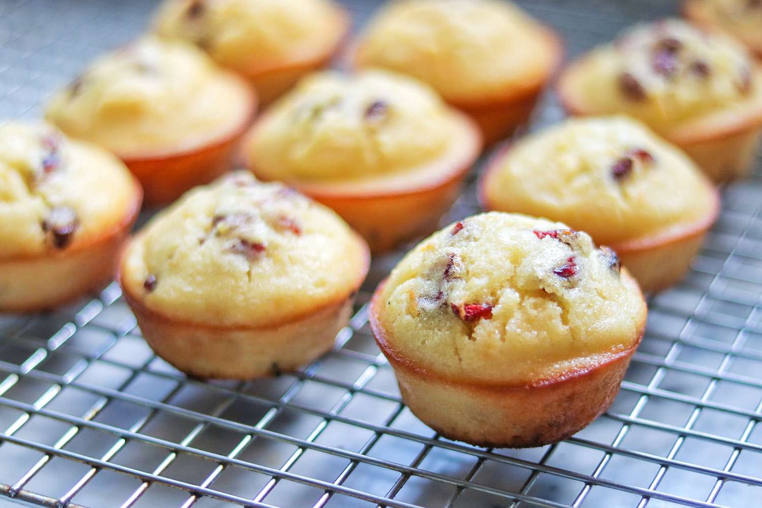 Cranberry Orange Muffins