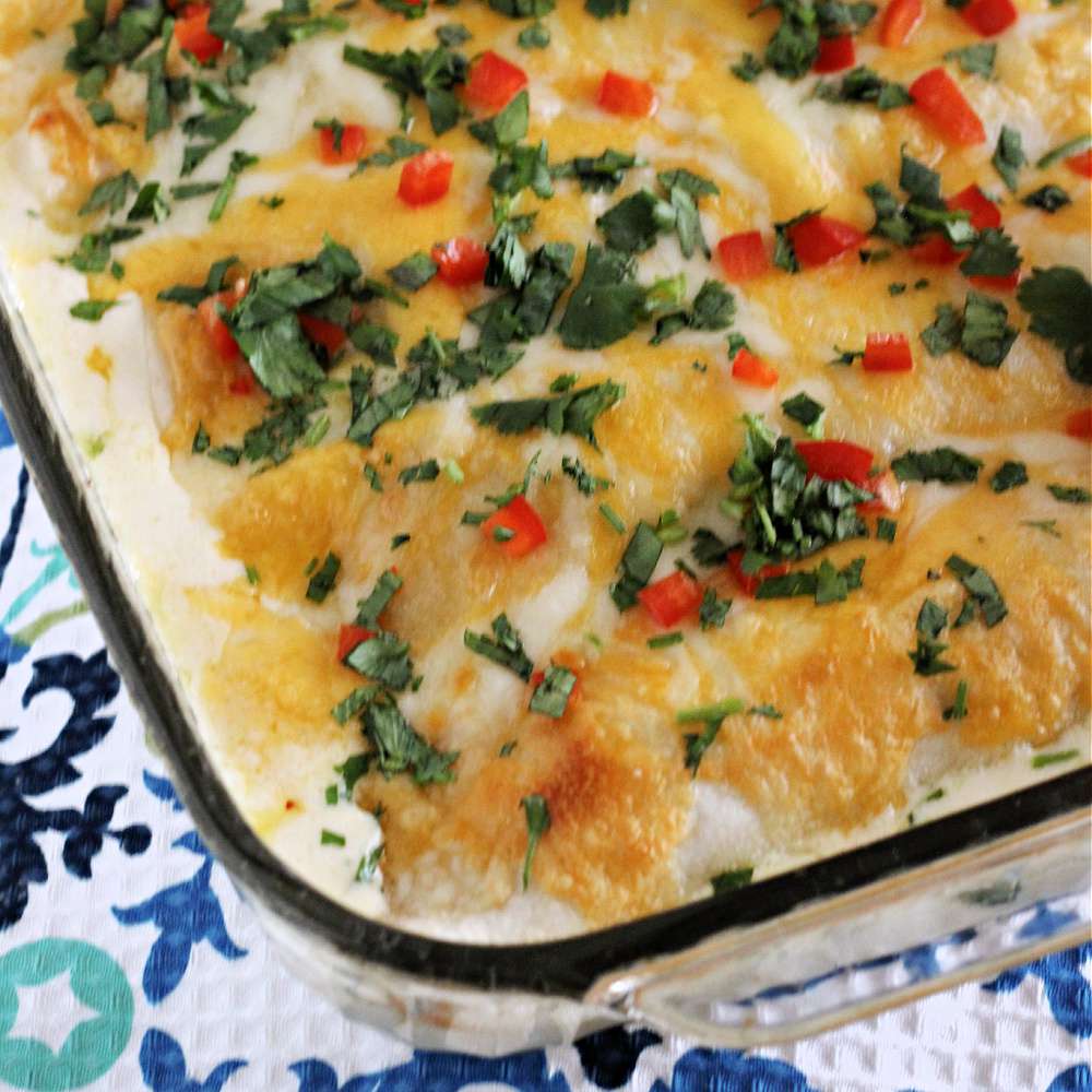 Creamy Chicken Enchiladas Suizas