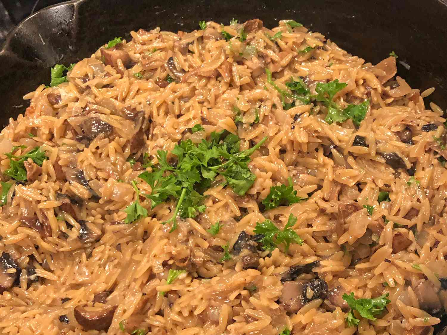 Creamy Mushroom Orzo