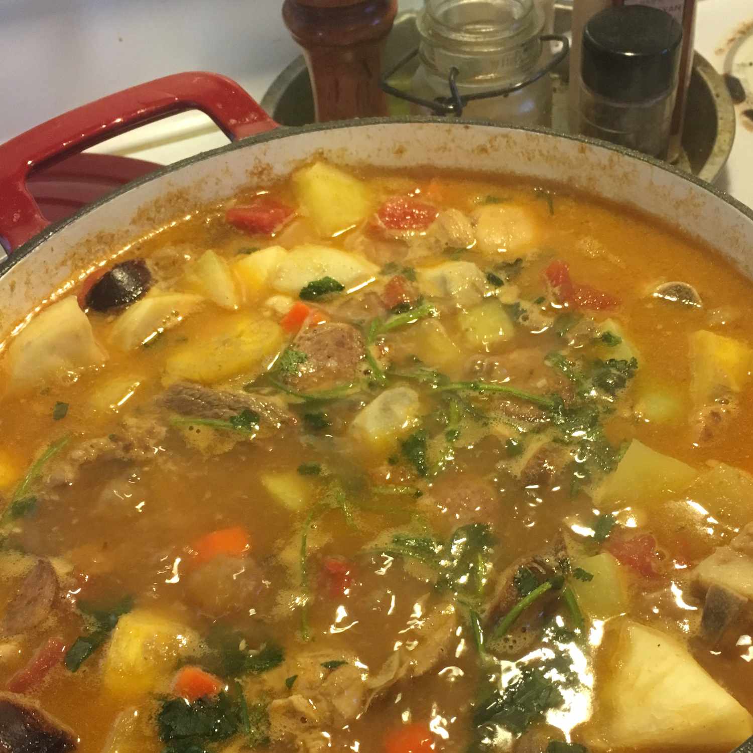 Dominican Sancocho Stew