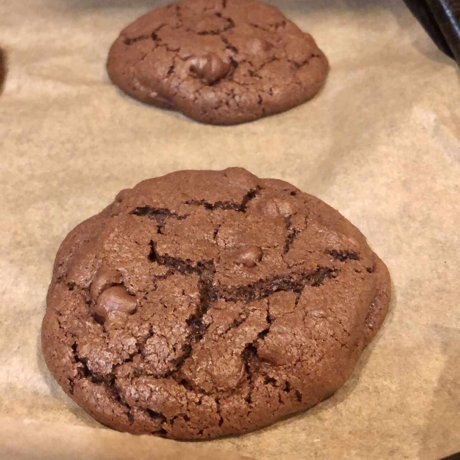 Double Chocolate Chip Cookies