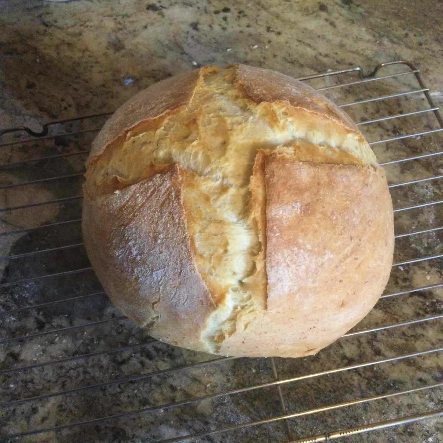 Dutch Oven Artisan Bread