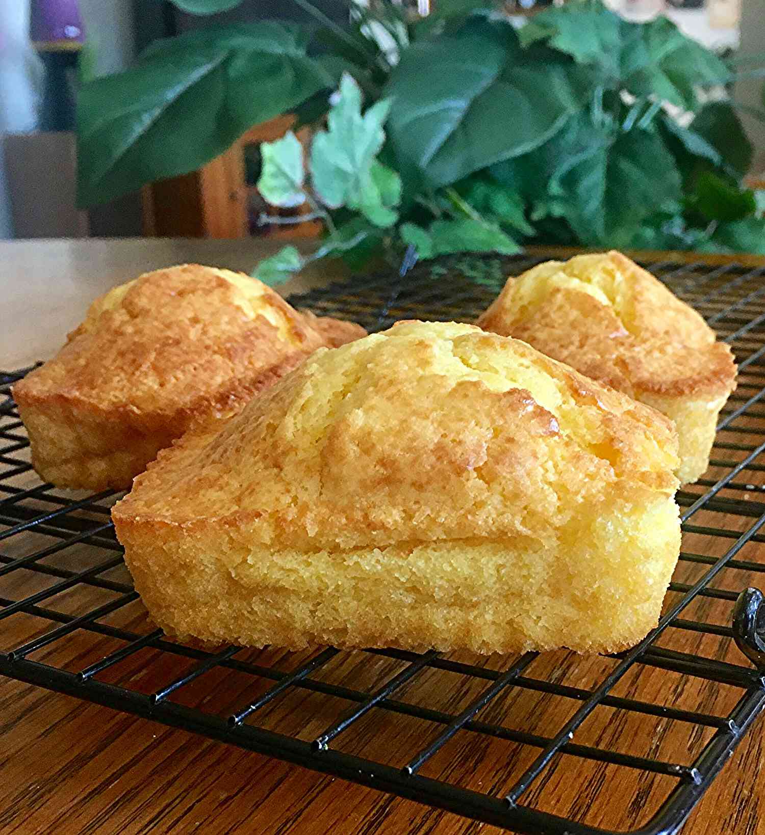 Easy Sweet Corn Bread