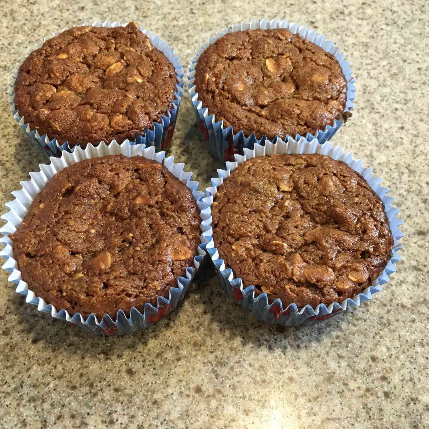 Fig Oat Muffins
