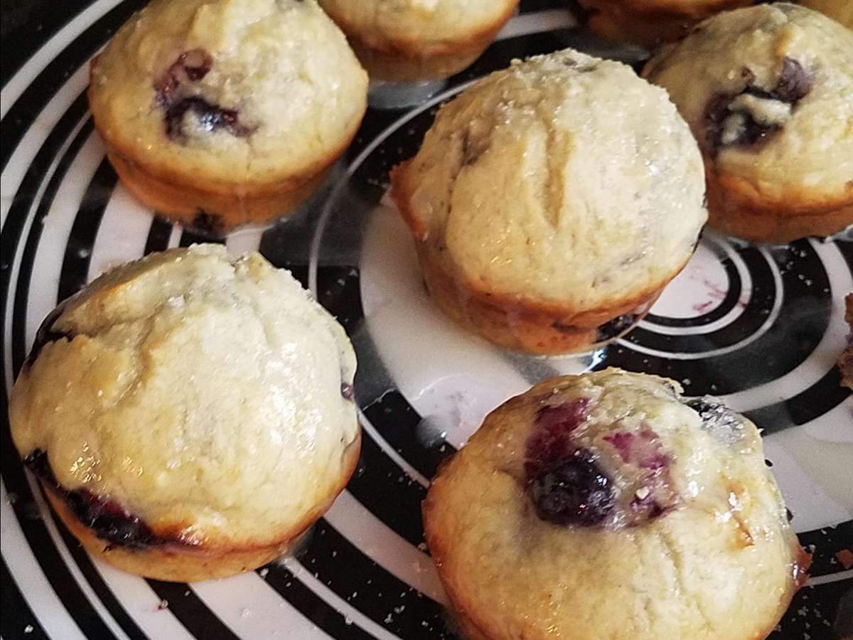Fluffy Blueberry Muffins