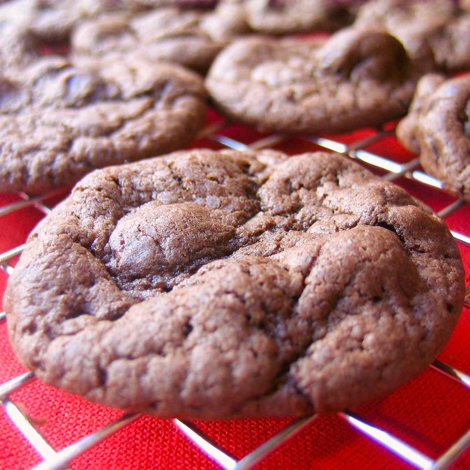 Fudgy Chocolate Chip Cookies