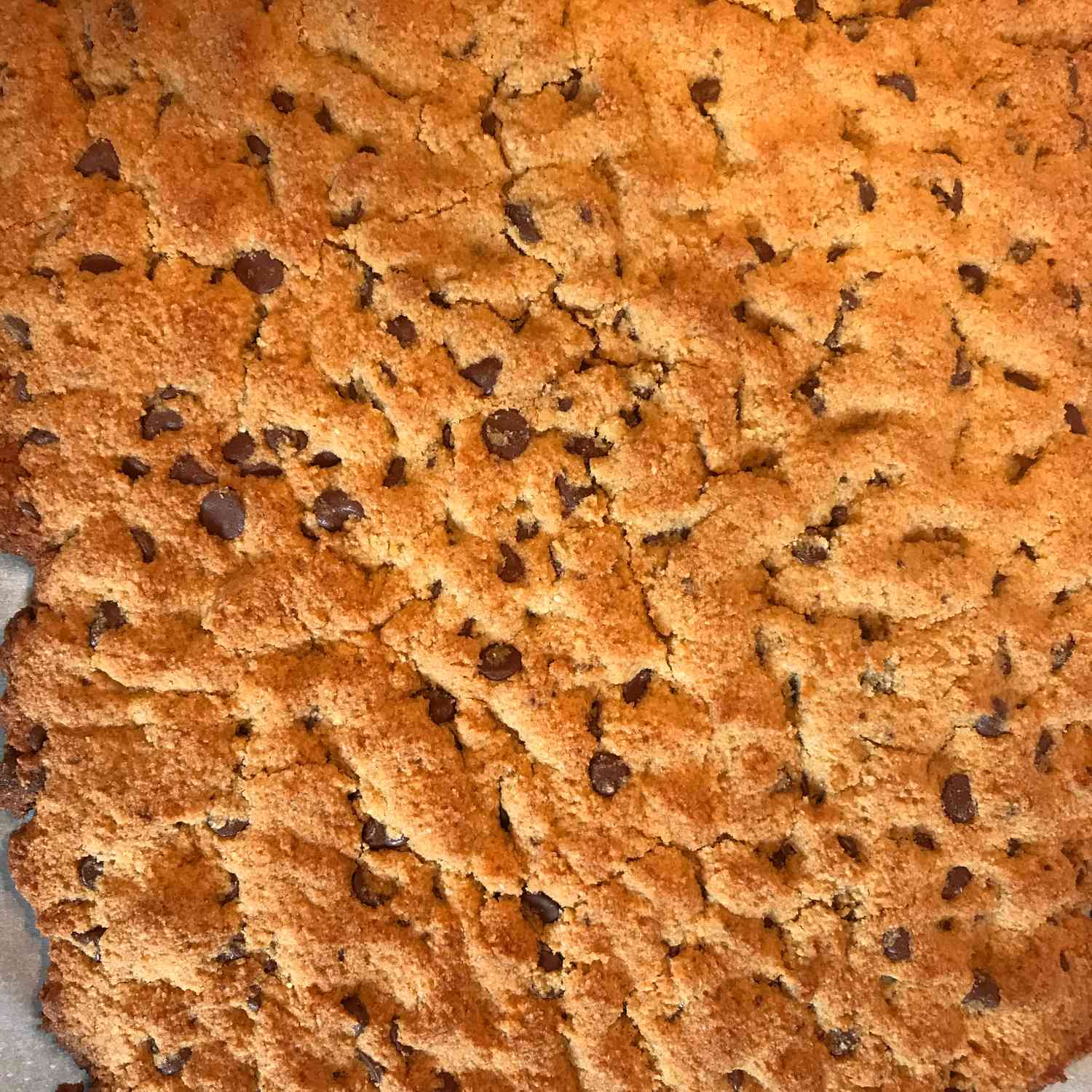 Gluten-Free Coconut Chocolate Chip Cookies