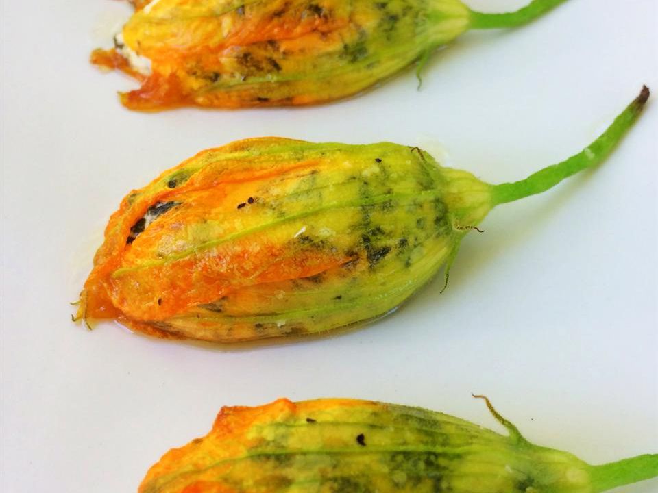Goat Cheese Stuffed Roasted Squash Blossoms