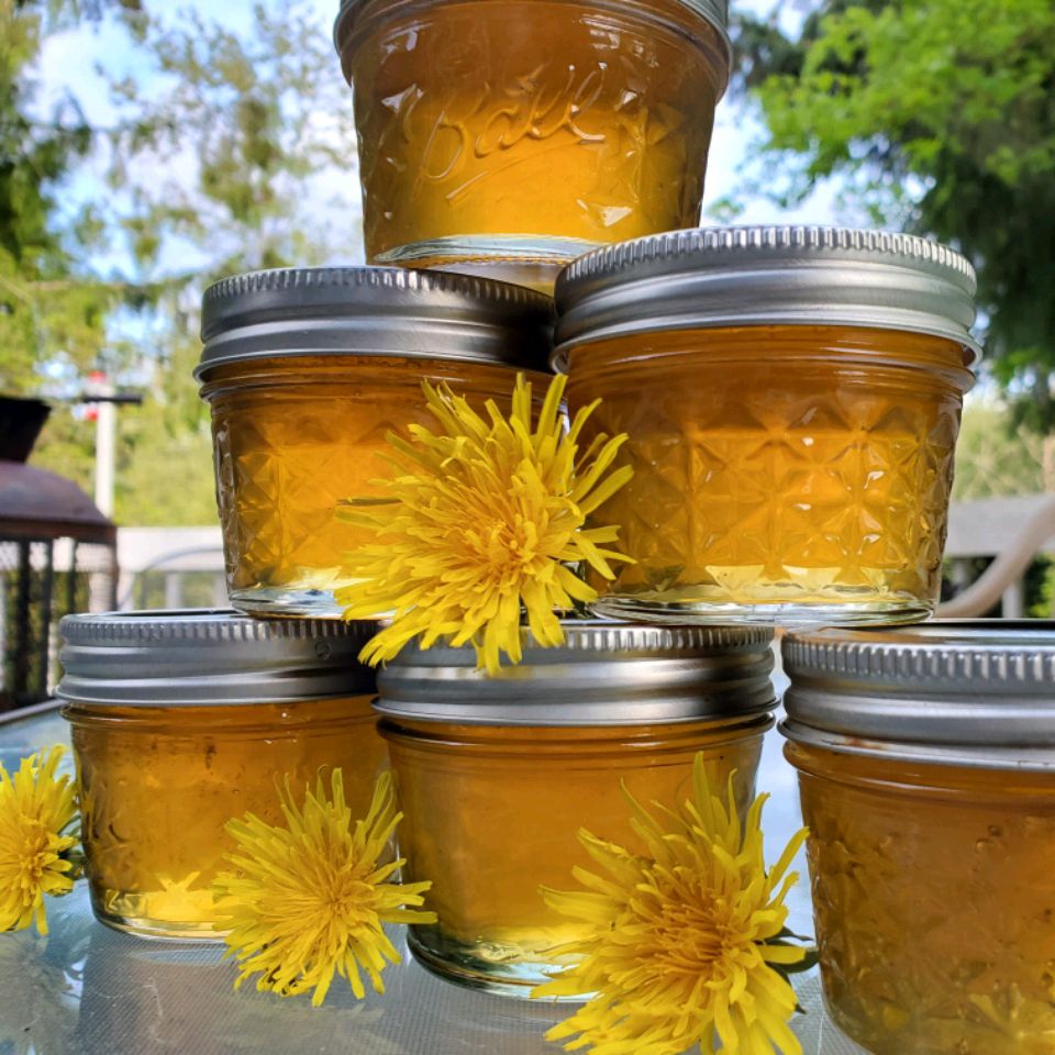 Golden Dandelion Jelly