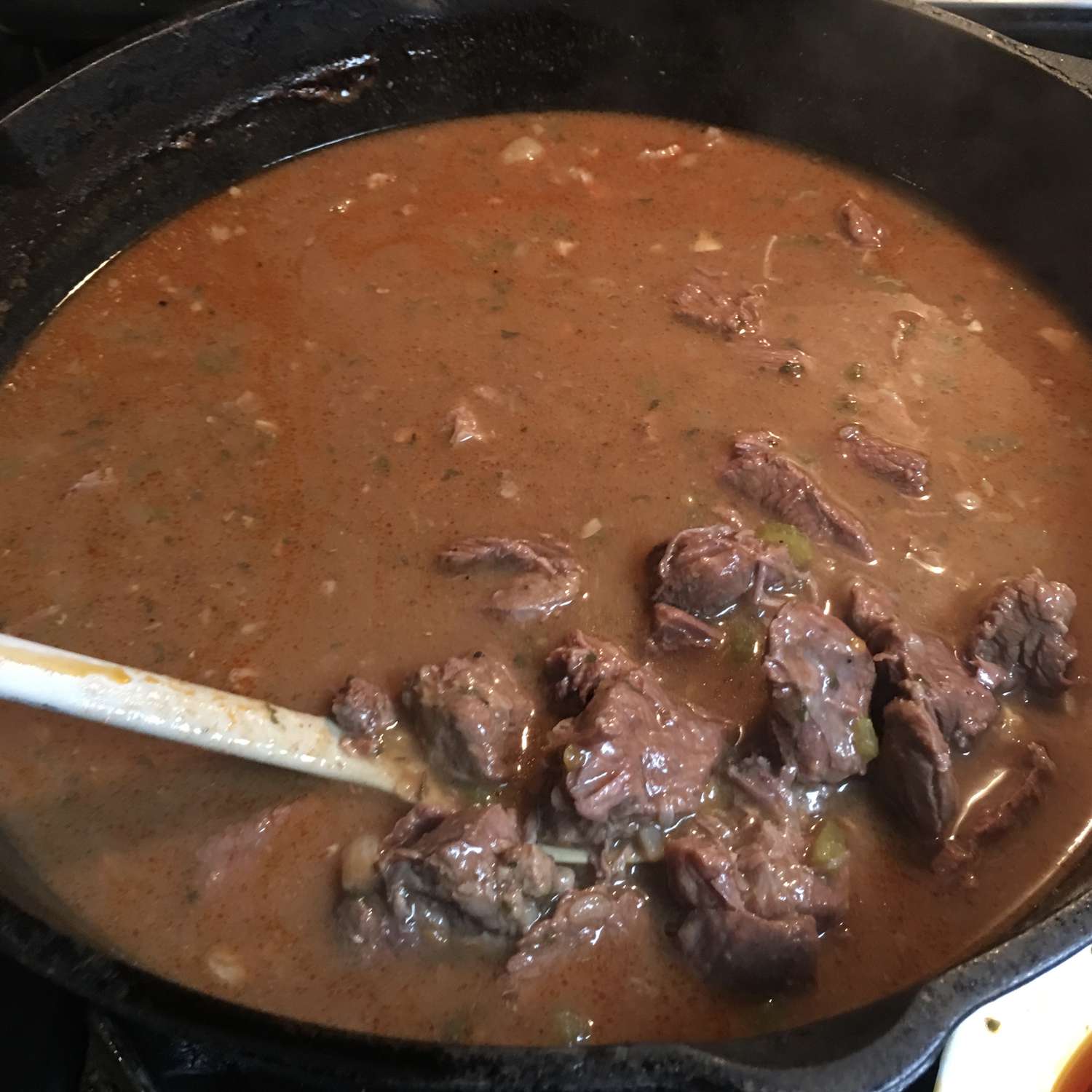 Hearty Bison Stew
