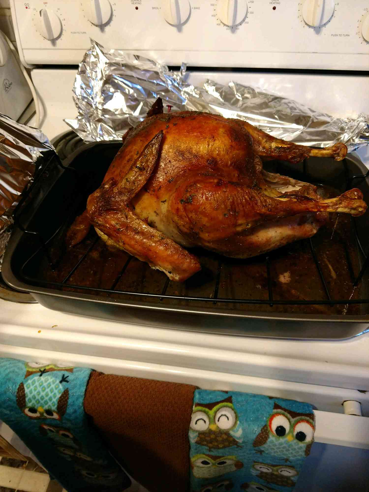 Herb-Infused Roasted Turkey