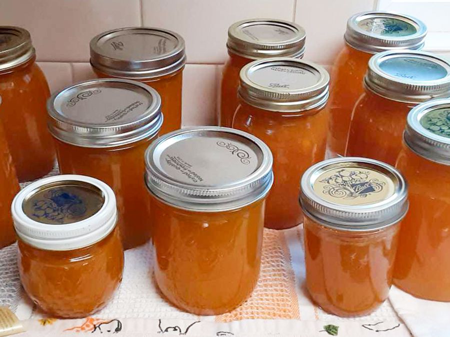 Homemade Nectarine Preserve