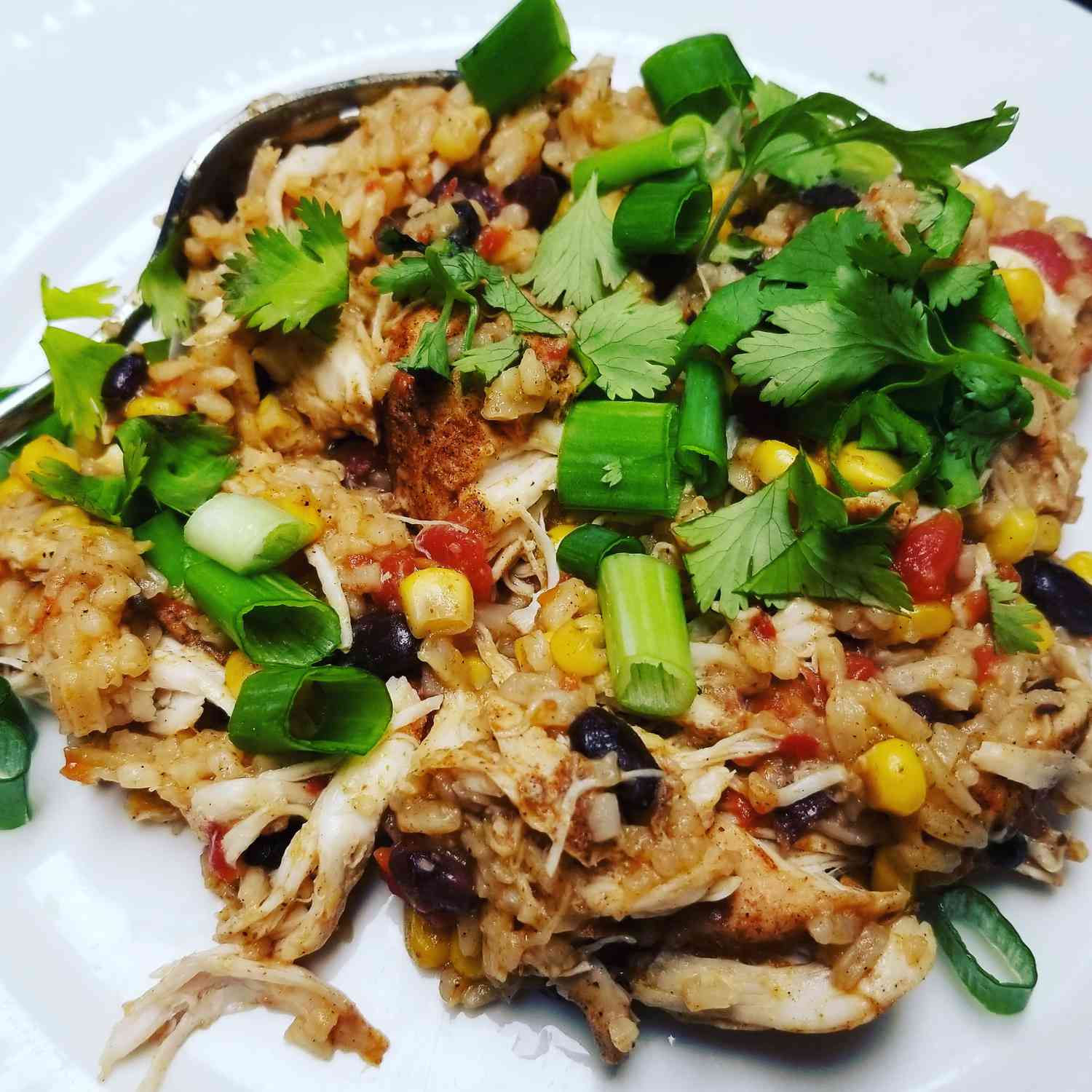 Instant Pot Chicken Taco Bowl