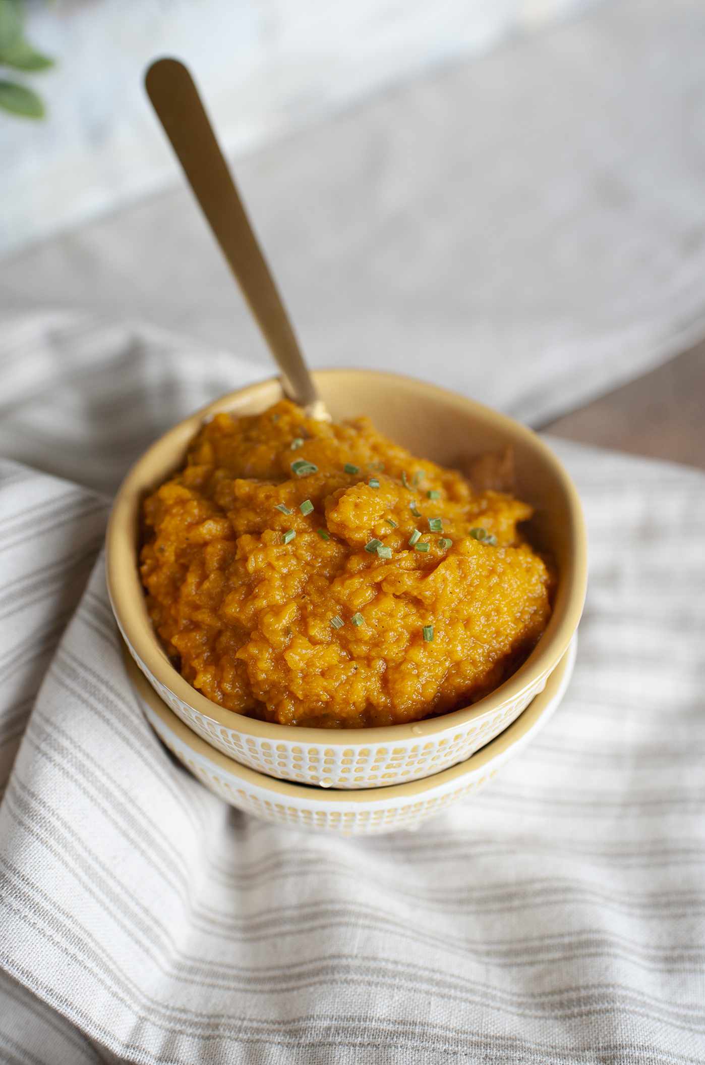 Instant Pot Garlic Coconut Mashed Sweet Potatoes