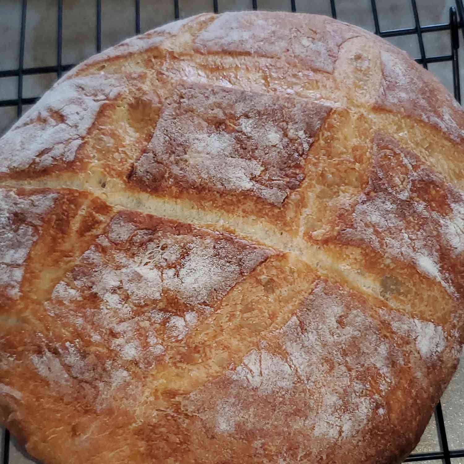 Instant Pot No-Knead Crusty Bread