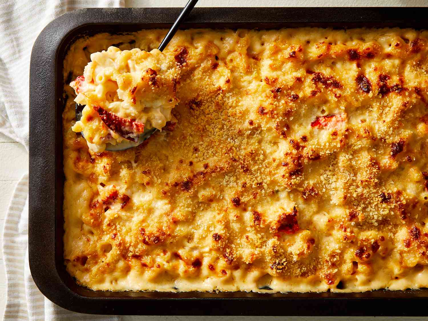 Lobster and Cheese Pasta