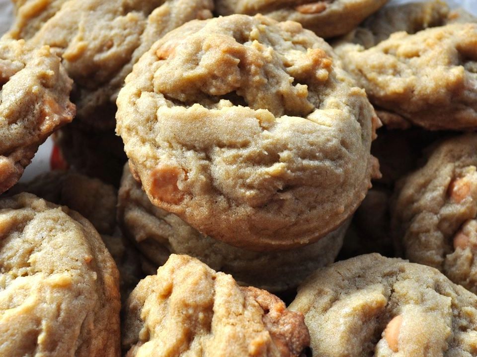 Maple Syrup Cookies