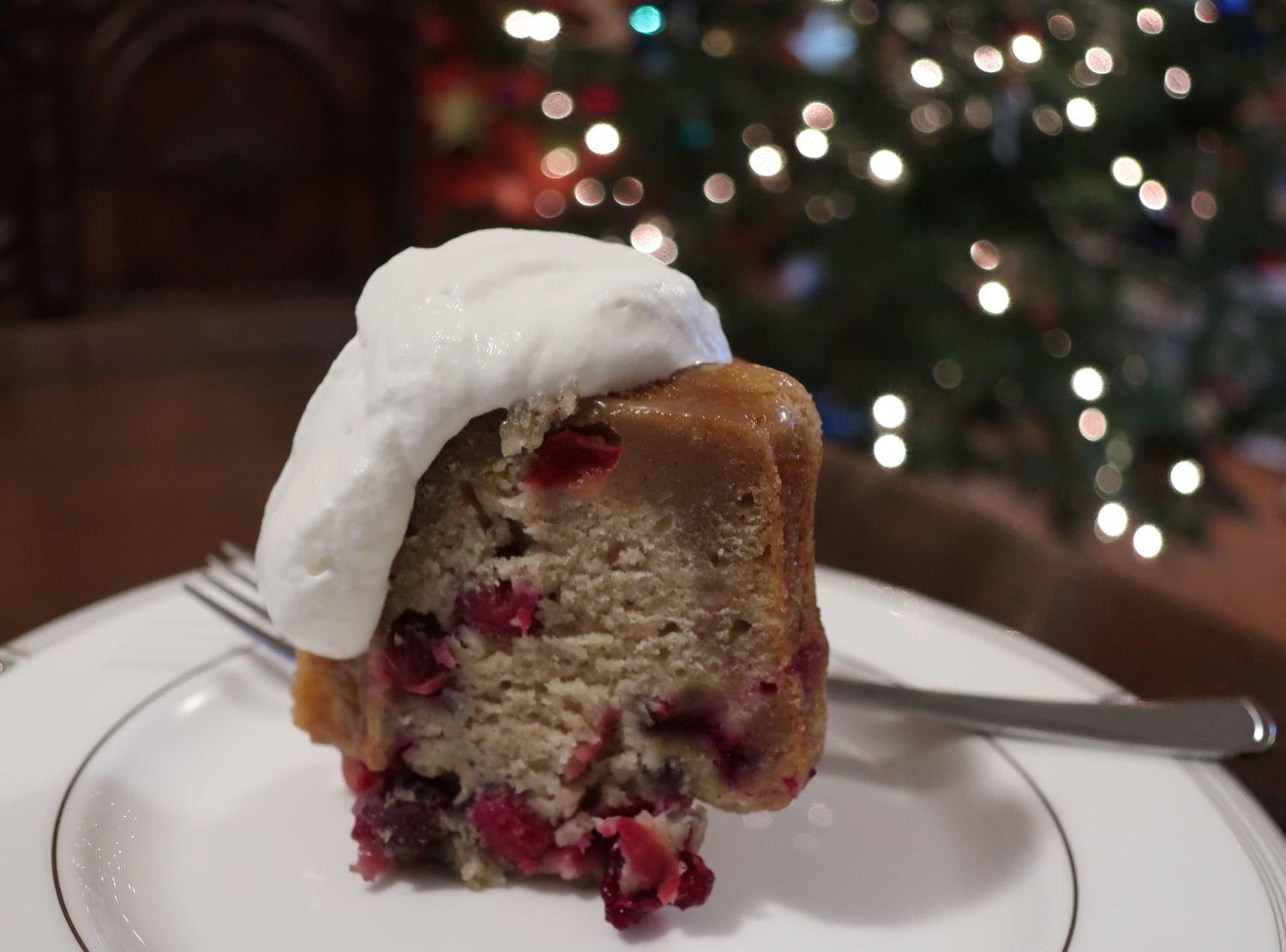 Nanny's Cranberry Pudding