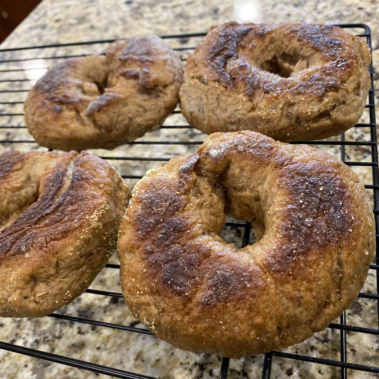 Nutty Multigrain Bagels