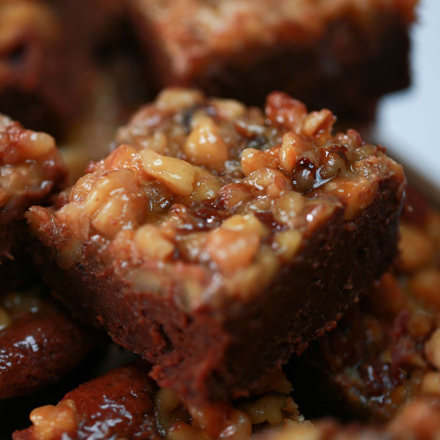 Palmer House Brownie