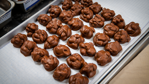 Alexander's Chocolate-Dipped Peanuts