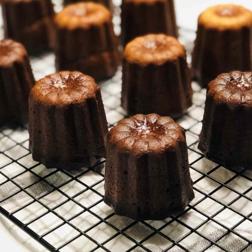 Bordeaux Custard Cakes