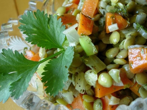 Lentil Mediterranean Salad
