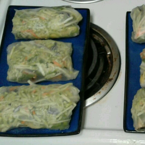 Rice Paper Salad Rolls