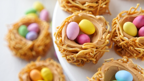 Spring Bird's Nests