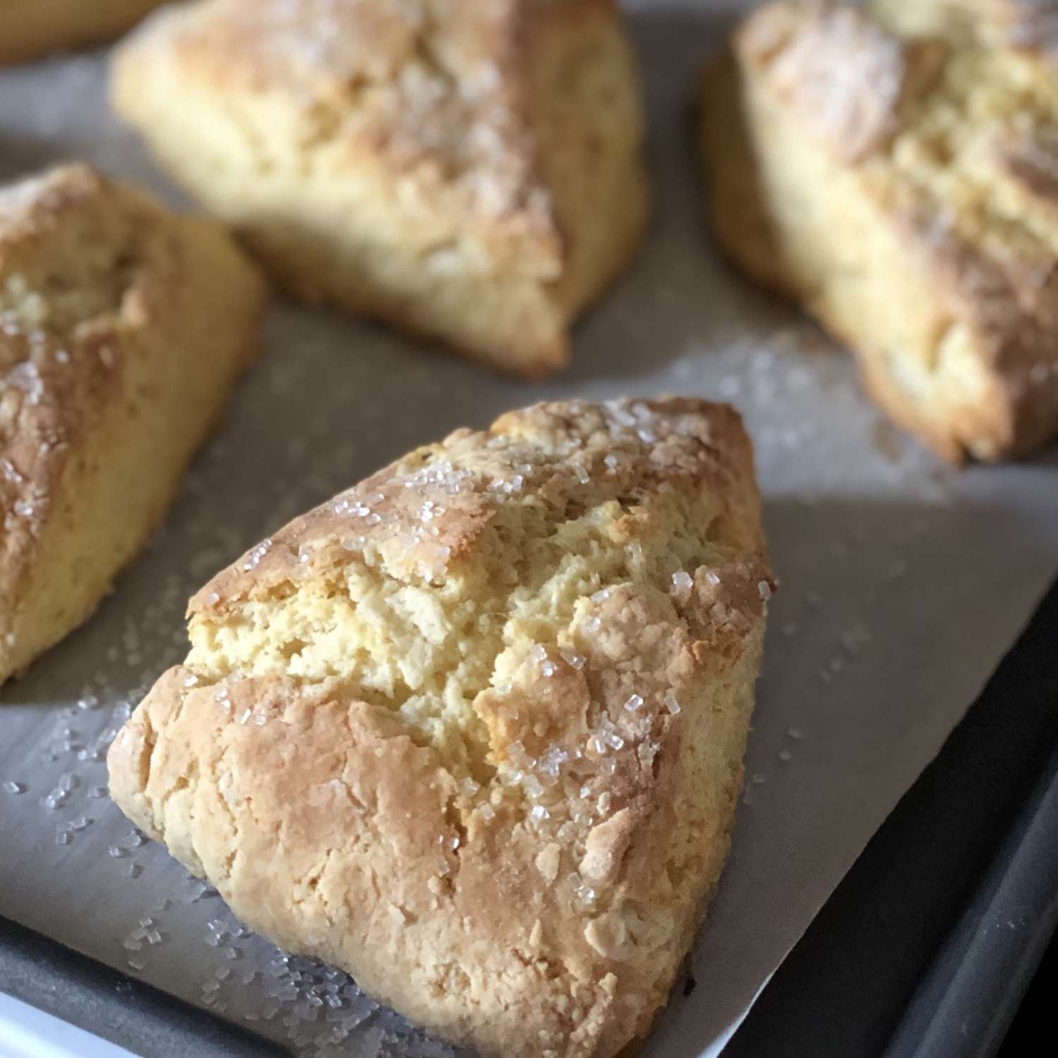 Quick and Easy Scones