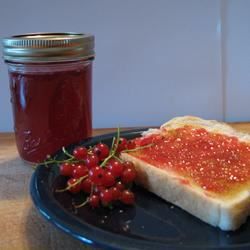Red Currant Jam