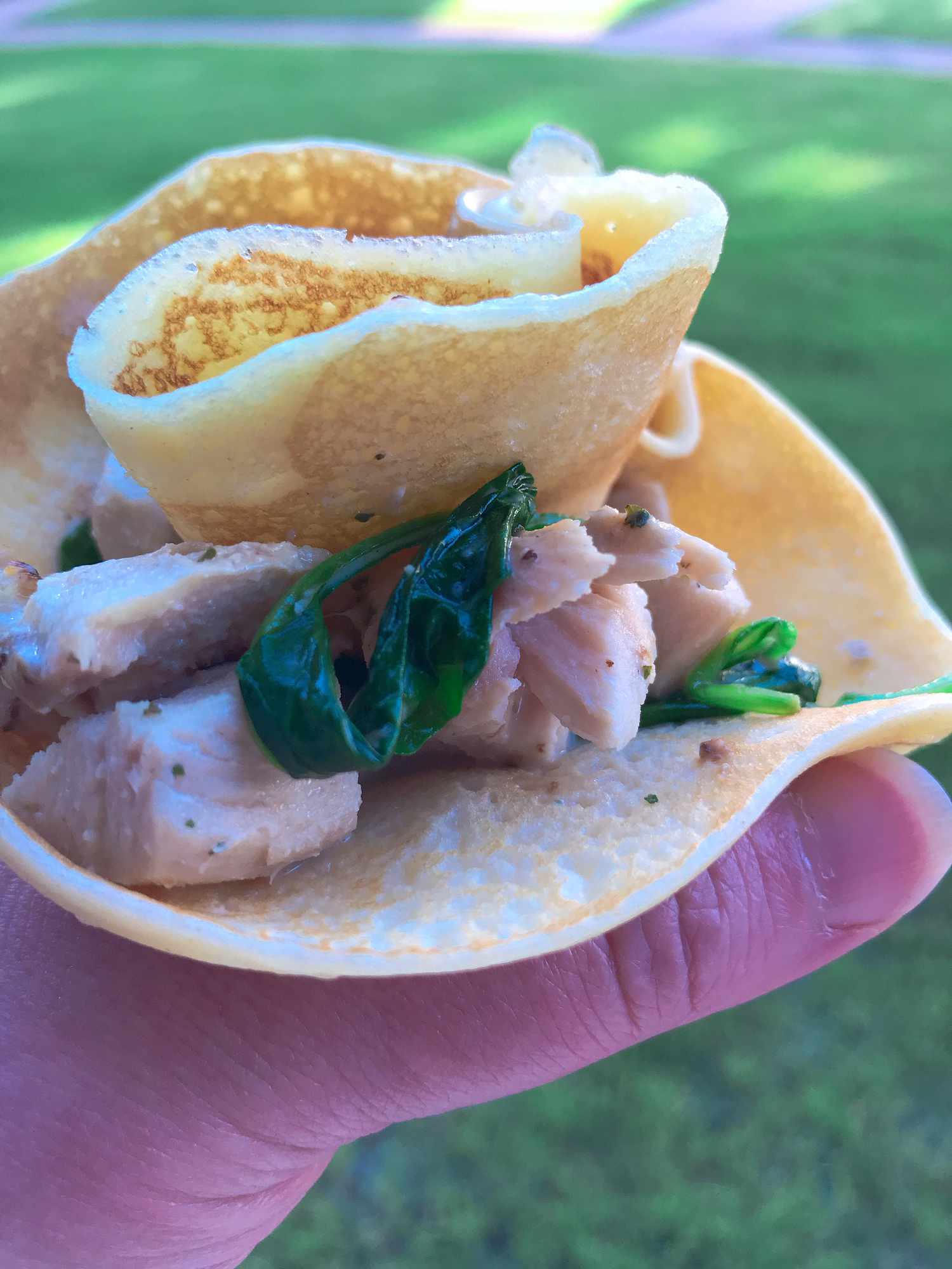 Savory Chicken Crepes