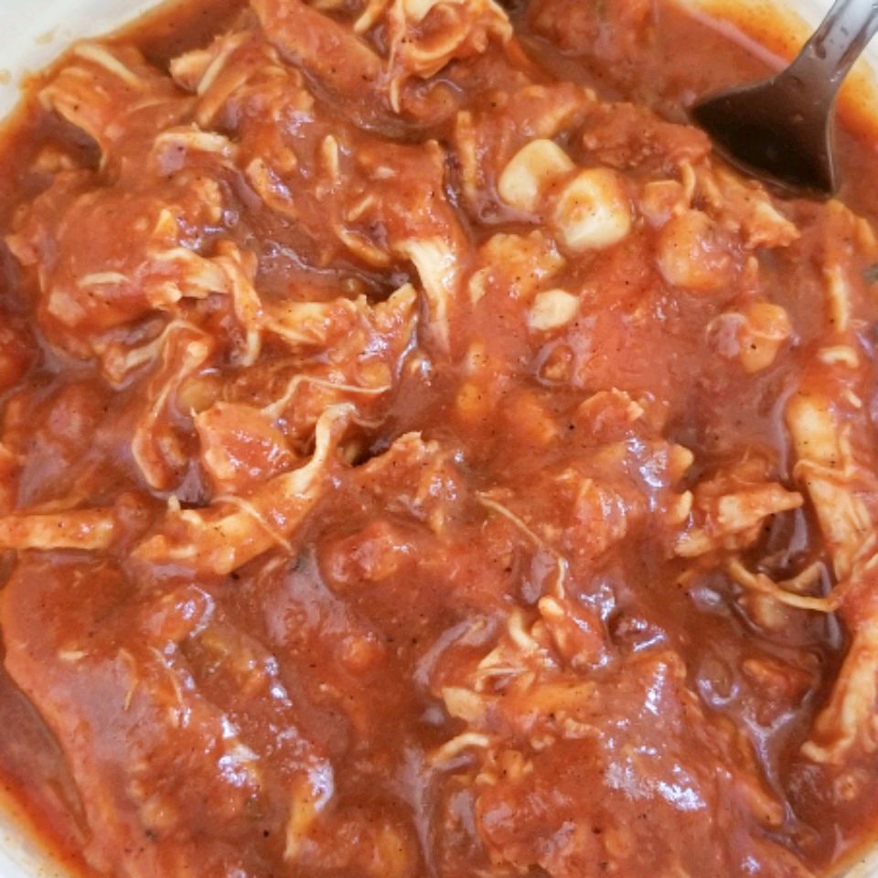 Savory Salsa Chicken Filling