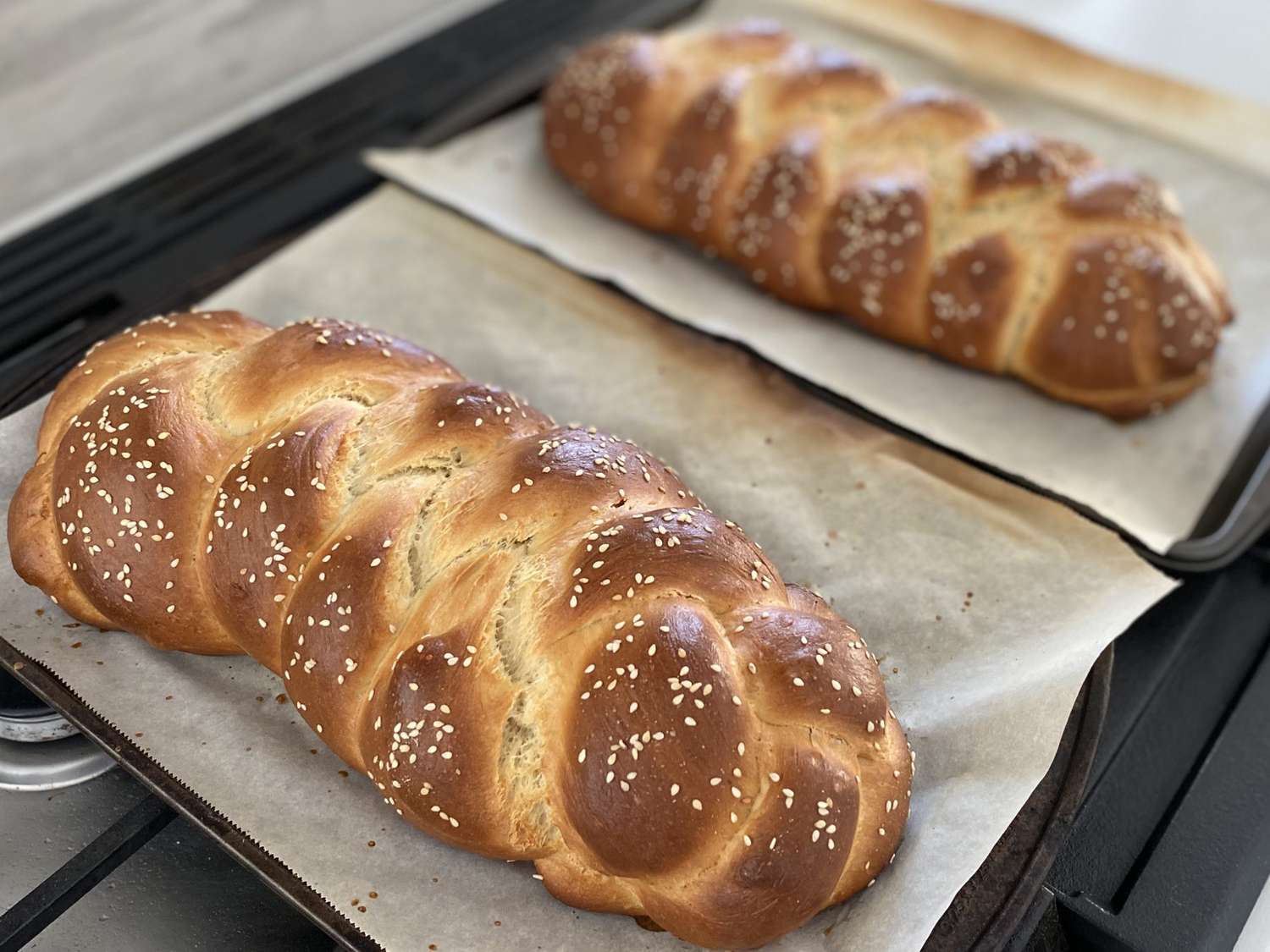 Shabbat Braided Challah
