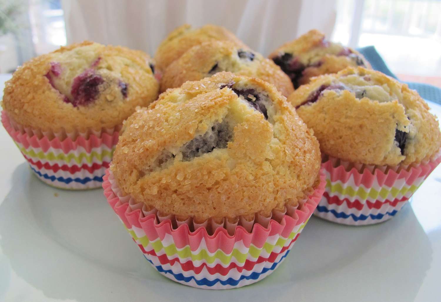 Sour Cream Blueberry Muffins