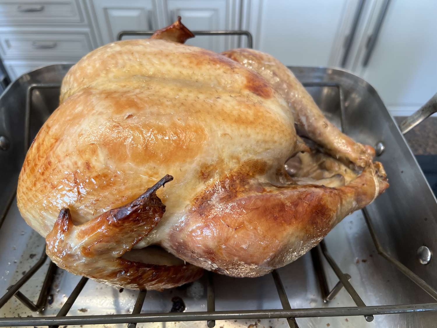 Sous Vide Brined Turkey