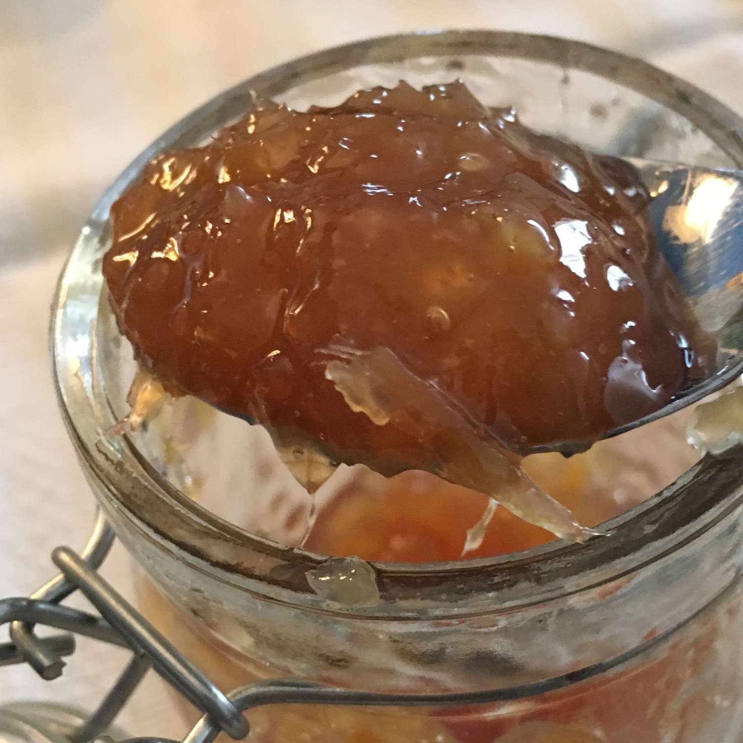 Spicy Ginger Marmalade