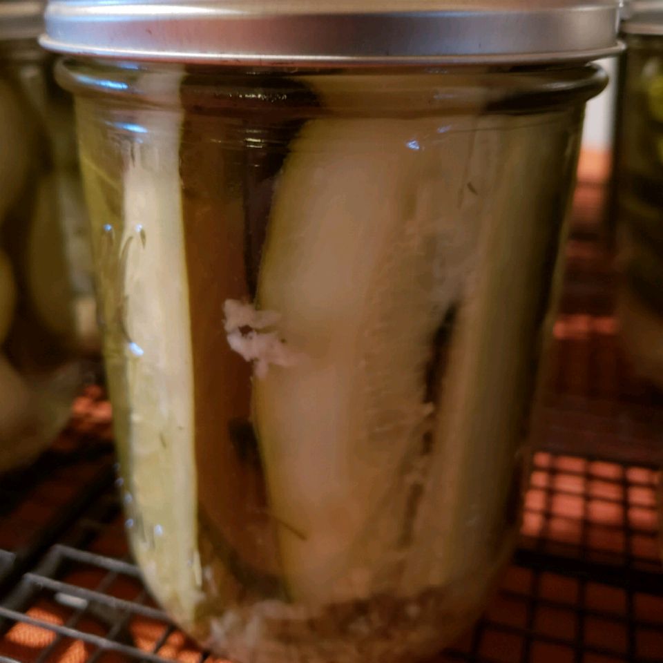 Spicy Horseradish Pickles